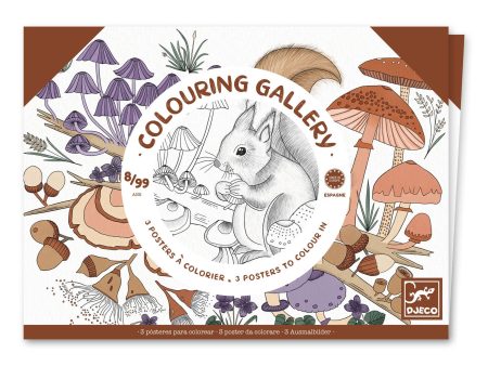 Colouring Gallery - Naturalist For Sale